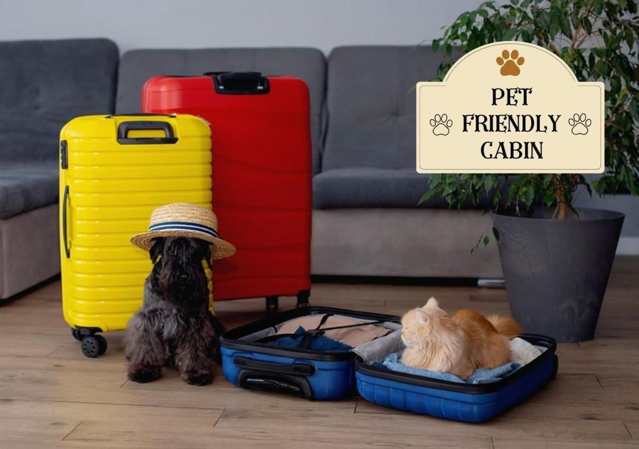 Fabulous Pet-Friendly, Family Cabin With Outdoor Kitchen, Hot Tub, Sauna, Fireplace, Theater Room, Arcade, Pool Table, And Fire Pit Within Minuties Of Dollywood Sevierville Ngoại thất bức ảnh
